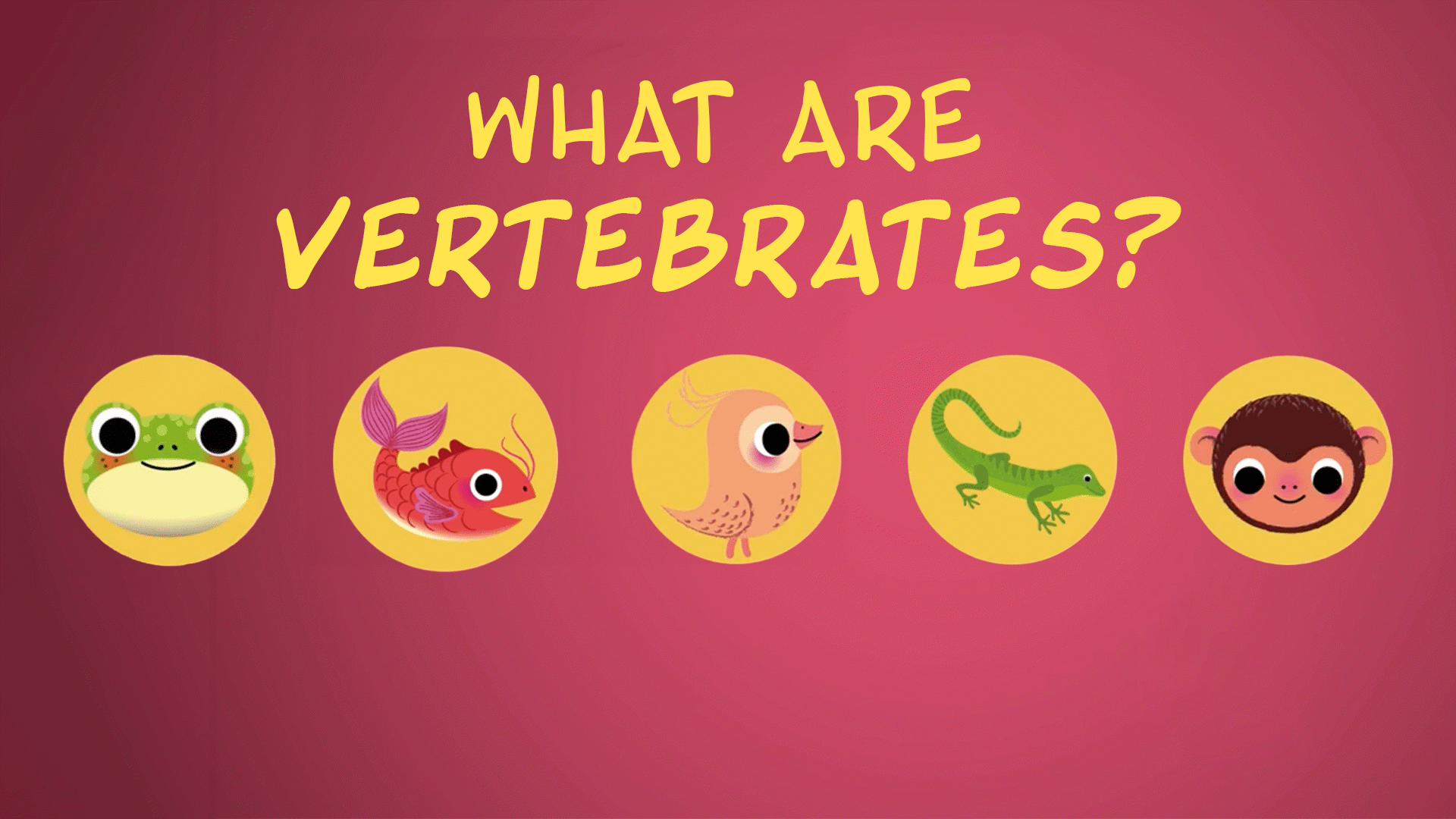 Classifying Animals: Vertebrates | ClickView
