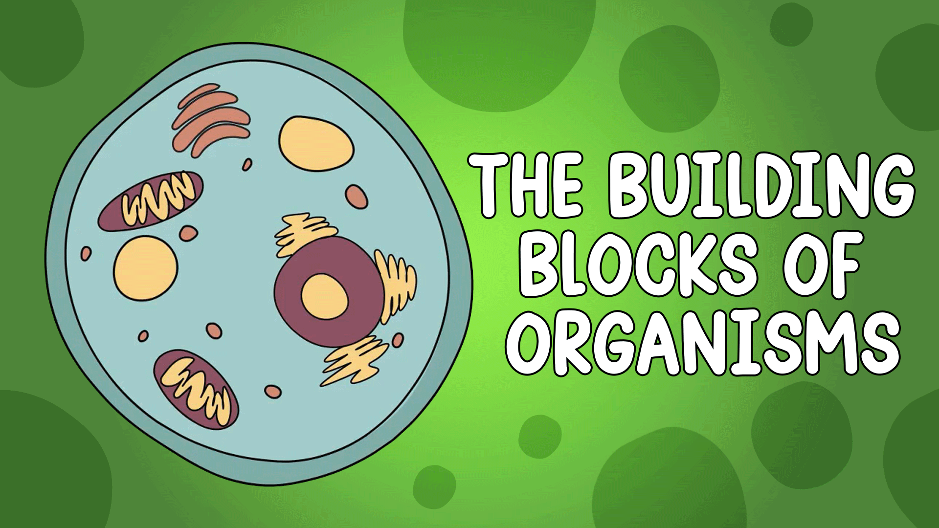 Introduction to Cells Video & Resources | ClickView