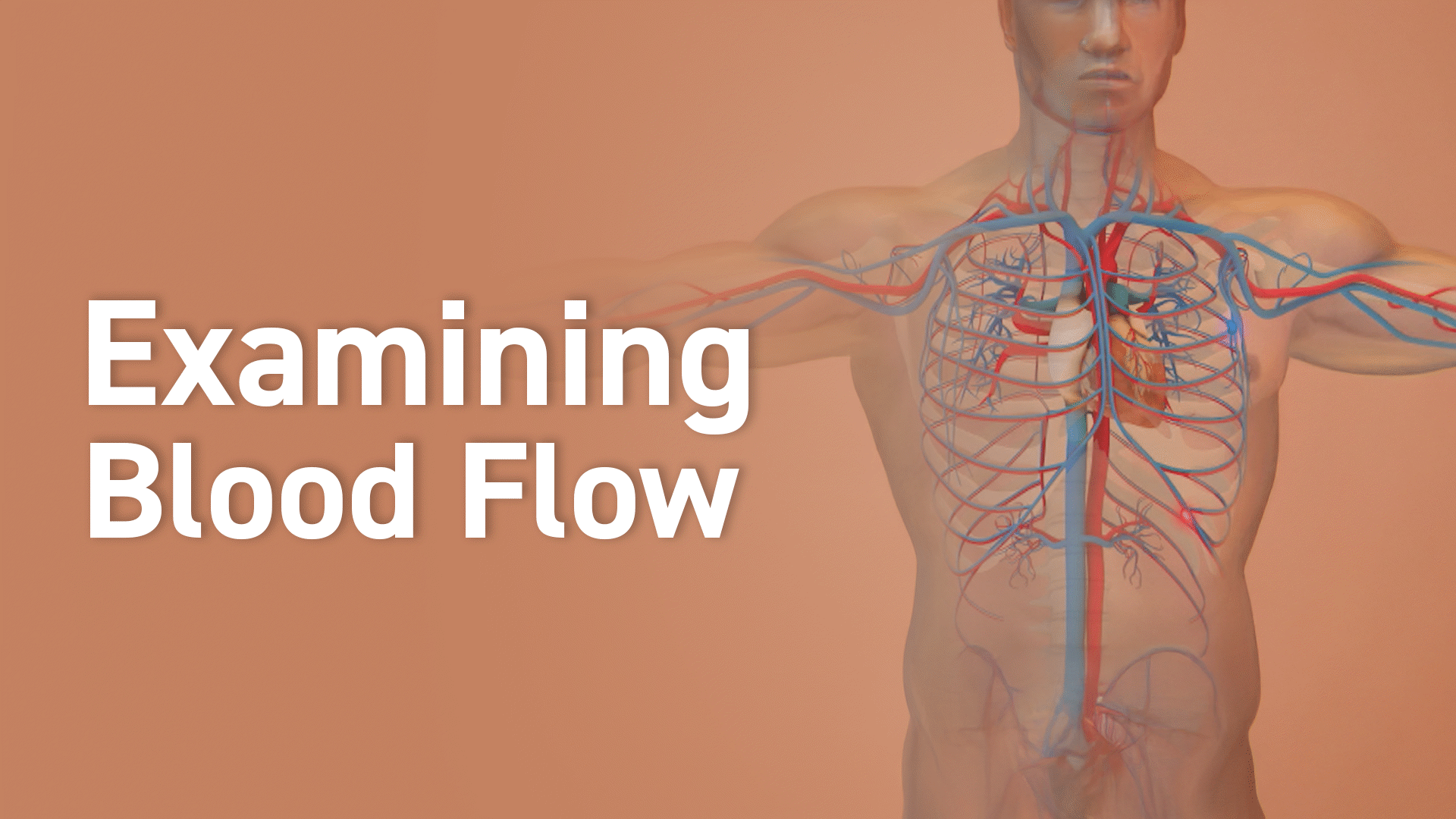 Human Body: Experiments - ClickView